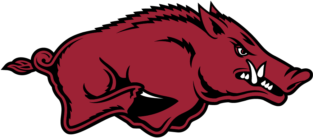 Arkansas becas deportivas
